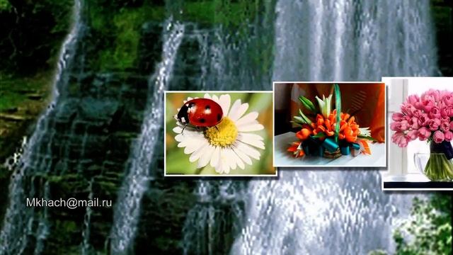 Ромашки и тюльпаны смотреть онлайн