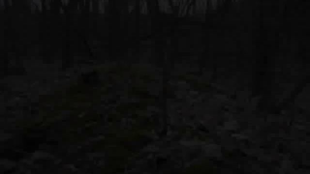 ALHSB кладоискательство [ КОП МОНЕТ ] - часть 2