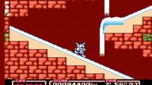 TAS Tiny Toon Adventures 2 Trouble in Wackyland NES in 13:59 by Yunshui