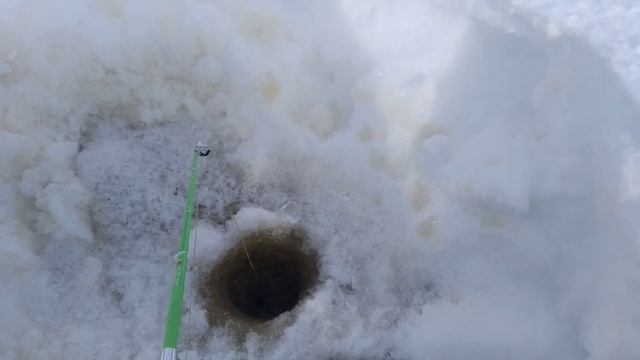 Экспедиция в заказник Полуйский Щука на жерлицу Дорога домой Expedition to the reserve Pike on bait смотреть онлайн