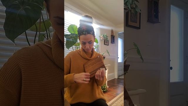 unboxing of a Pincushion moss and Ficus pumila var. minima terrarium смотреть онлайн