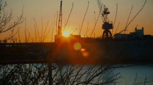 Обзор линейки фотоаппаратов SONY NEX. Все Нексы в одном видео!