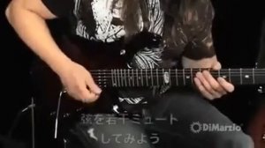 Звукосниматели DiMarzio