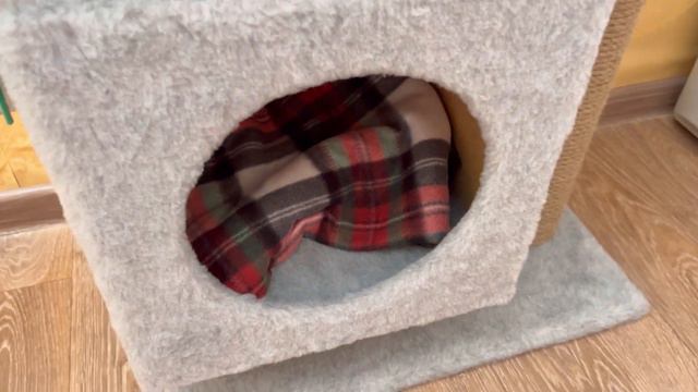 КЕМ РАБОТАЕТ МУЖ? | КОТЕНОК НЕ ПЬЕТ ВОДУ | СТЕСНЕНИЕ В ТАНЦАХ | ИГРАЮ В БАСКЕТБОЛ смотреть онлайн