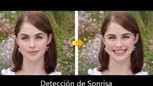 FUJIFILM FINEPIX S2950