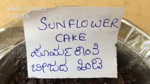 CAKES FERTILIZER, ITS BENIFITS for plants.ವಿವಿದ ಬಗ್ಗೆ ಹಿಂಡಿ ಹೇಗೆ ಗಿಡಕ್ಕೆ ಉಪಯೋಗ 💐ಅರಸಿ ಟೆರೇಸ್ ಗಾರ್ಡನ್