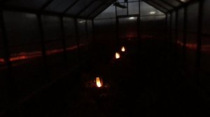 Выращивание ранних томатов. Морозные ночи продолжаются. Проверяю температуру в теплице с томатами.