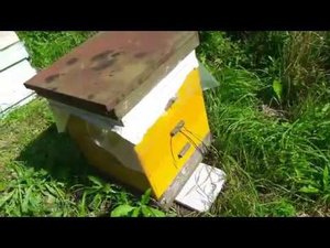 Самые бюджетные пасечные весы