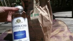 США ЧТО ТАКОЕ KOMBUCHA И КАК ВЫРАСТИТЬ В ДОМАШНИХ УСЛОВИЯХ ЧАЙНЫЙ ГРИБ