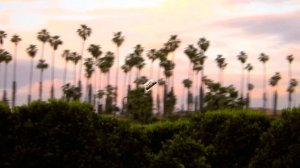 sarah brightman harem