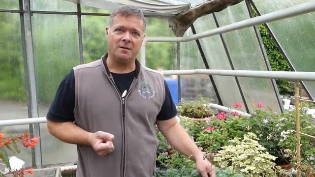 Umckaloabo смотреть онлайн