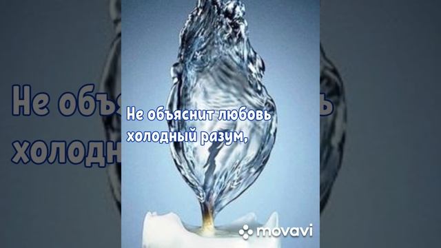 Магнит