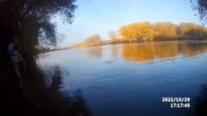 Вот и осень золотая !!! На рыбалке отдыхаем ...Fly fishing .