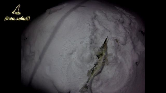 Твичинг | Ночной СУДАК на МЕЛКОВОБЫ смотреть онлайн