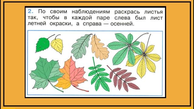Окружающий мир 1 класс листья деревьев презентация