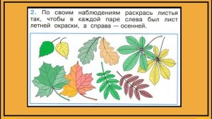 Окружающий мир 1 класс Что это за листья? страница 16-18.