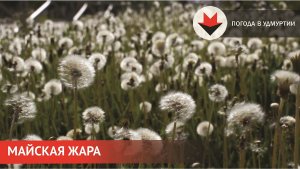 Жара установилась в Удмуртии