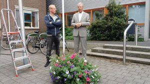 140 Hanging baskets