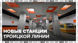 Четыре станции Троицкой линии метро запустят осенью 2024 года - Москва 24