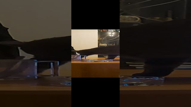 бросай эту пакость😁 смотреть онлайн