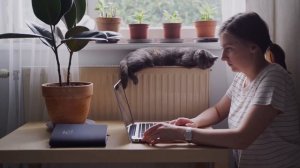 Как найти работу в Швейцарии | Зарплаты в Швейцарии