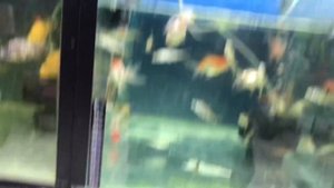 Город Сумгаит.Sumqayit