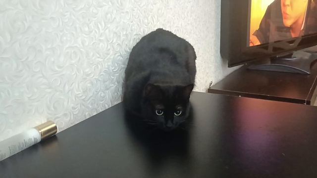 Девочка