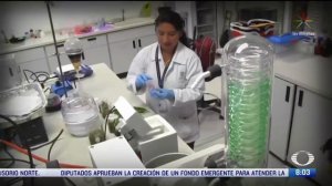 Medicinas naturales podrían regenerar funciones del cerebro - Al Aire