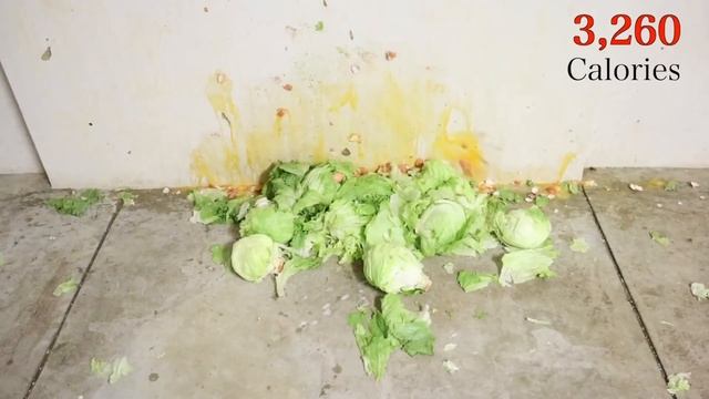 HowToBasic throwing eggs and hitting things with a spade for over 3 minutes