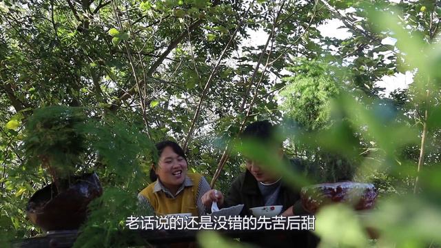 胖妹秘制秋梨膏，15斤雪梨用了一天一夜就为给大洋治咳嗽，是真爱了！【陈说美食】