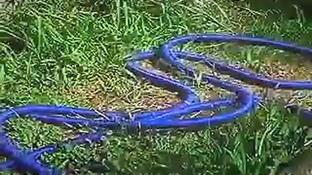 отличный шланг