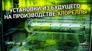Как производят планктонную хлореллу от компании Альготек? #производство #хлорелла #новыеустановки
