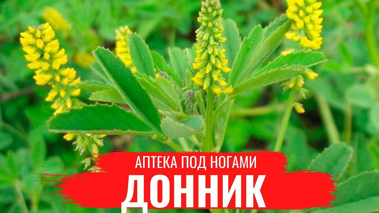 Аптека под ногами картинки