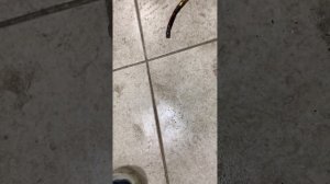 Удаление влаги с испарителя морозильной камеры