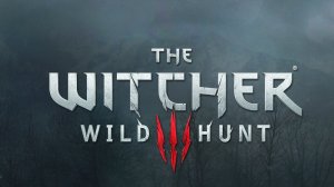 Ведьмак 3 прохождение The Witcher 3 Дикая охота часть #1.1