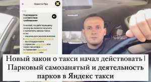 Новый закон о такси начал действовать | Парковый самозанятый и деятельность парков в Яндекс такси
