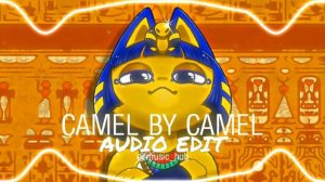 CAMEL BY CAMEL AUDIO EDIT ❣️
