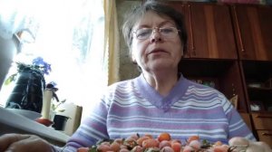 Ягоды Облепихи, переработка и масло Облепихи. Полезные свойства Облепихи.