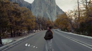 Sony A7 IV vs Panasonic Lumix S5 II - Best Hybrid Camera?