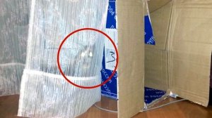 ПОПРОБУЙ НАЙТИ КОТА на фото ? Выпуск 14. НАЙДИ КОТА | БУДЬ В КУРСЕ TV