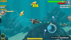 Игра про акулы для детей