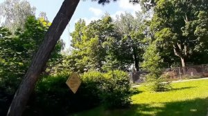 Москва. "Говорящие" деревья в парке Сокольники