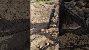 Наипростейшая картофеле сажалка