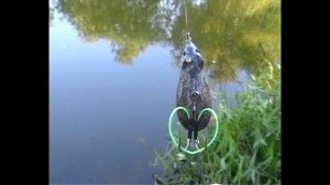 Показ приманки мышь