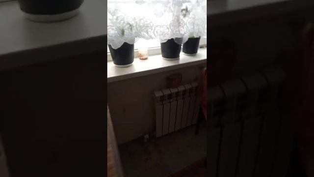 обзор недвижимость Батайск