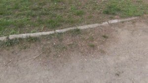 Дороги и тротуары возле домов в Василькове.