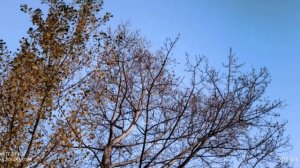 Облака.Авторская песня.