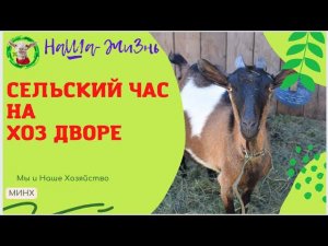 Сельский час) Продолжение смотреть на Rutube