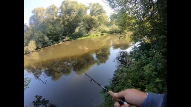 Со спиннингом по р. Пахре!!! смотреть онлайн