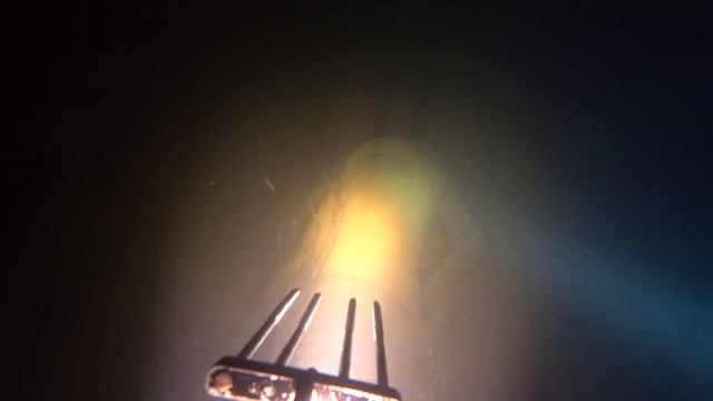 Утонувший человек - видео под водой! Нашёл труп на подводной охоте!!!!! смотреть онлайн